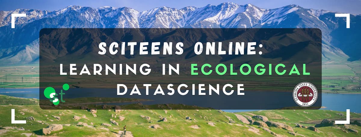 SciTeens Online: Learning in Ecological DataScience
