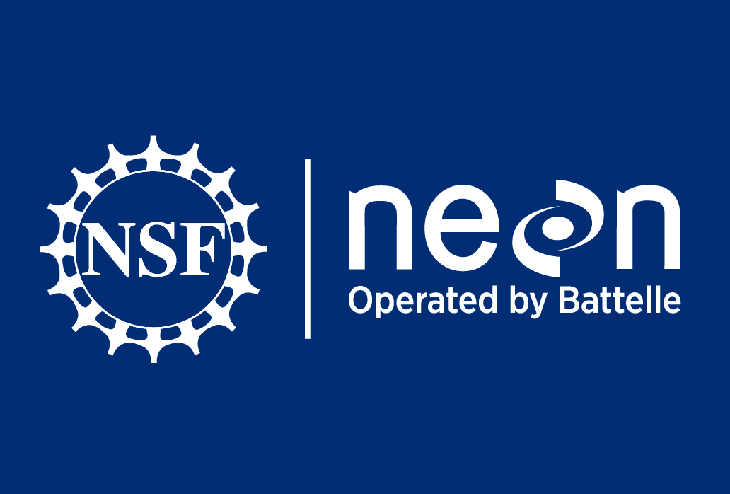 NSF Neon Logo