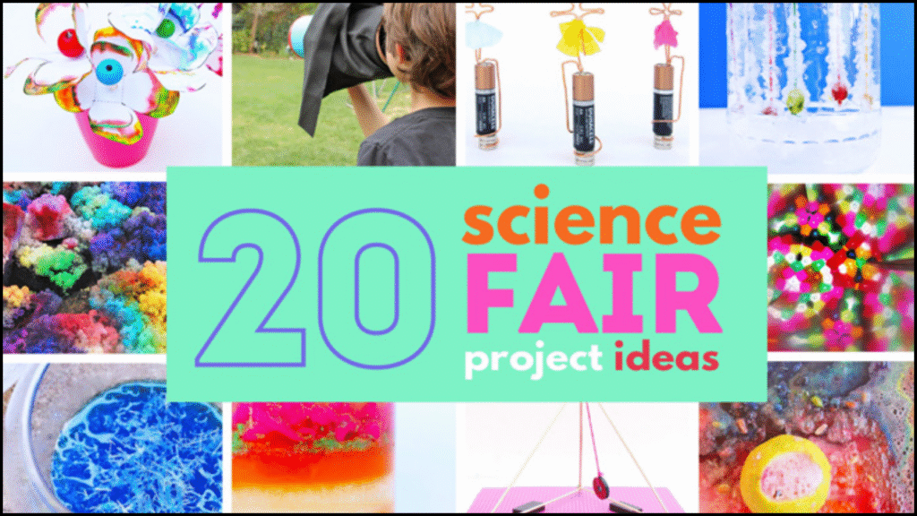 Science Fair Project Ideas From Easy to Hard